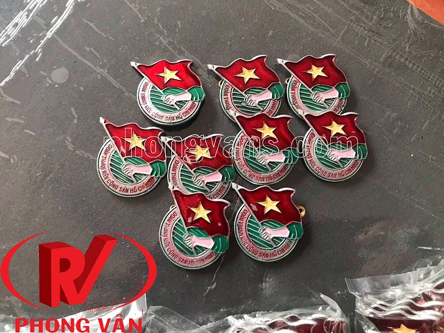 Set 10 huy hiệu đoàn