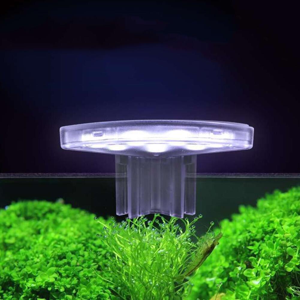 Đèn led mini AST dành cho bể cá mini, hồ thủy sinh mini