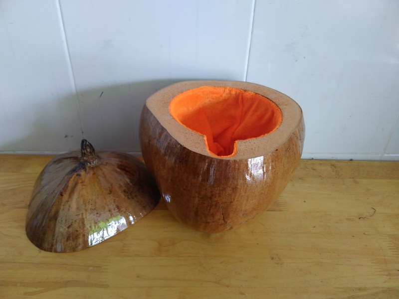 bình giữ nhiệt ấm trà trái dừa