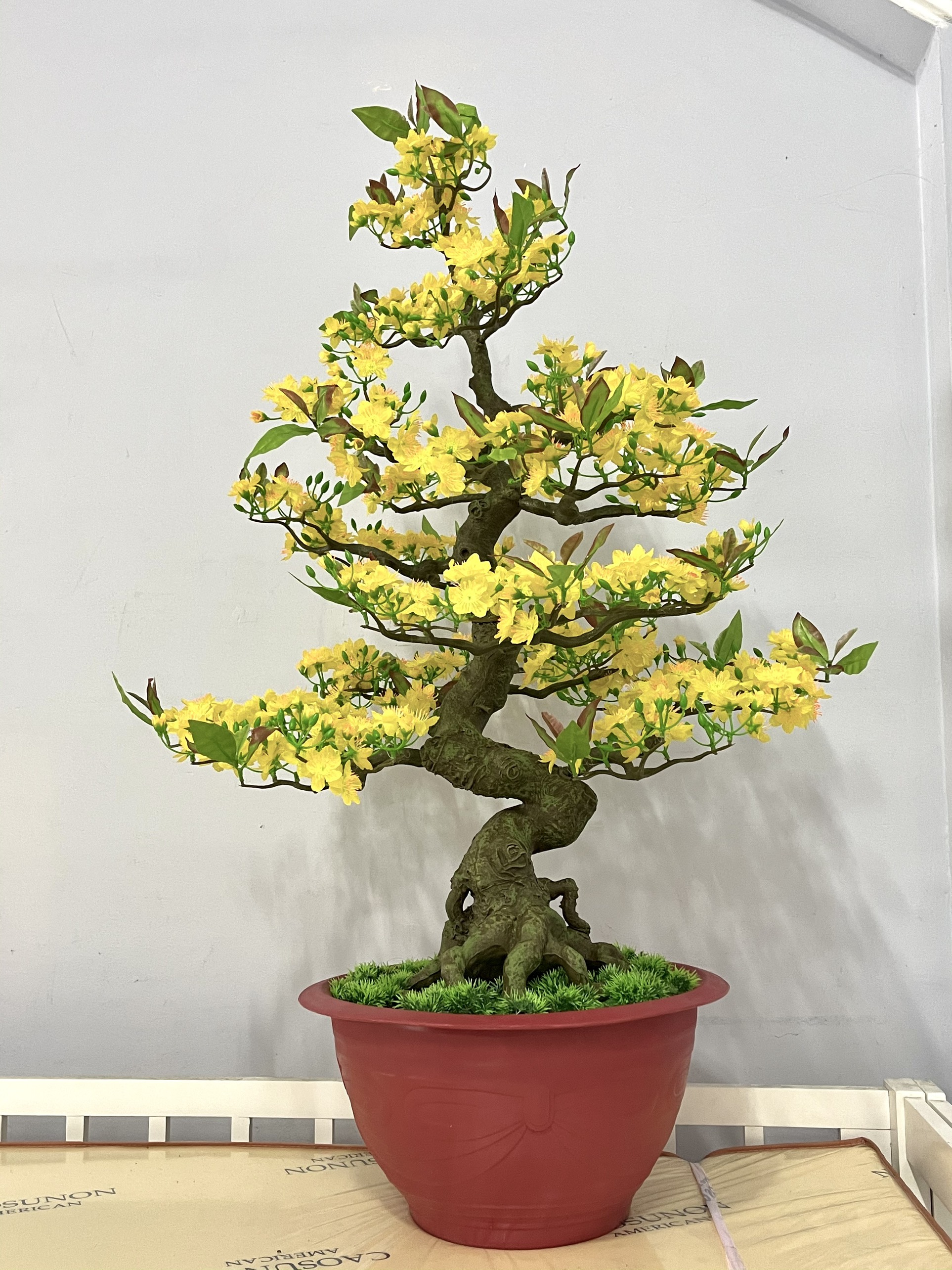 Chậu Hoa Mai Bonsai Nhựa Trang Trí Tết Cao 95cm,Tặng Bao Lì Xì