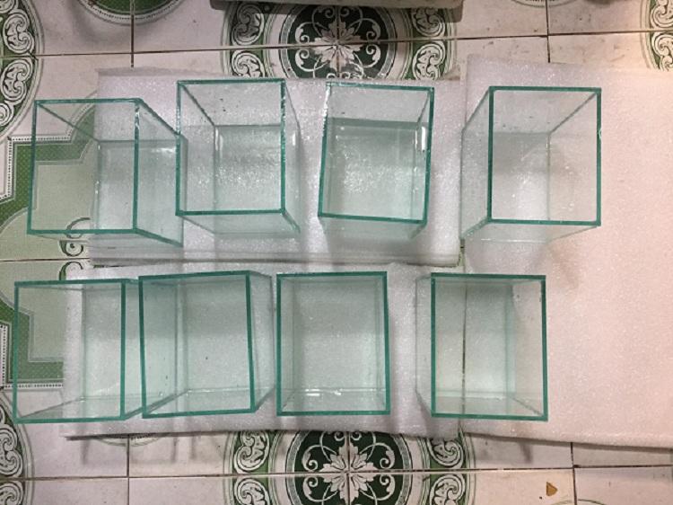 Bể cá mini để bàn( tặng cây nhưa, sỏi, thức ăn)