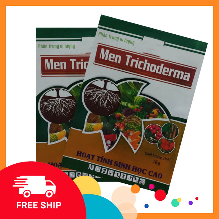[HCM]Phân bón Men Trichoderma - Nấm vi sinh Trichoderma (Combo 3 bao mỗi bao 1 kg). Cung cấp chủng vi sinh vật có lợi  cung cấp trung vi lượng cho cây trồng. Cải tạo rễ ức chế nấm bệnh cải tạo mùn. Ủ rác thải. thành phân hữu cơ