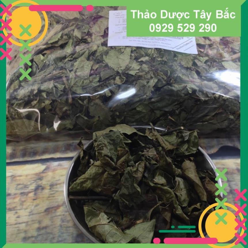 [COMBO 3KG] ✅✅  Xạ Đen Hòa Bình - Cây Xạ Đen Lá Răng Cưa