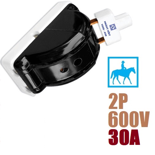 Cầu Dao Điện ĐẢO CHIỀU Cao Cấp 2 Pha 2P 30A 600V
