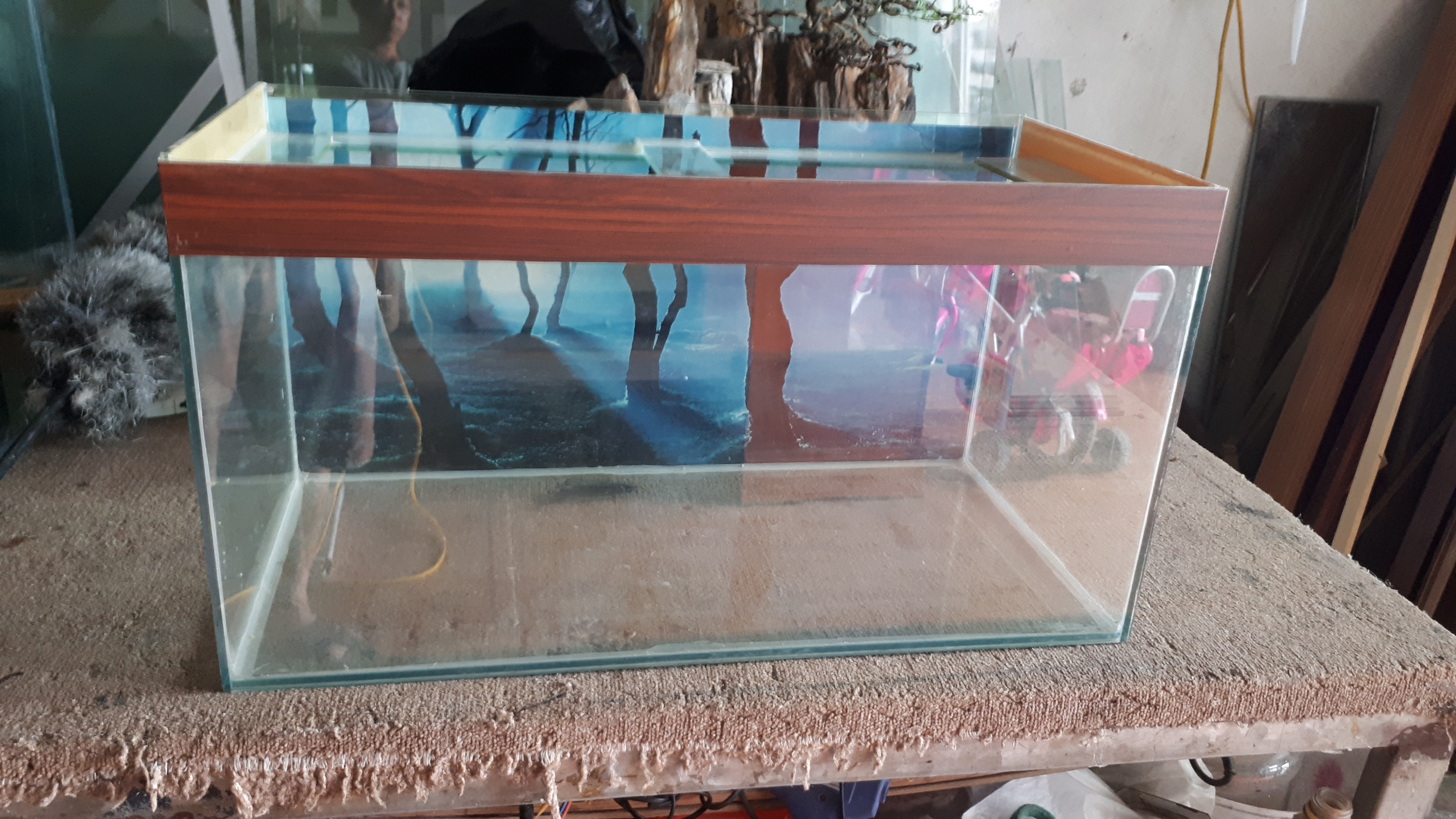 Bể kính 60 x 30 x 32 (cm) ( dài X rộng x cao)