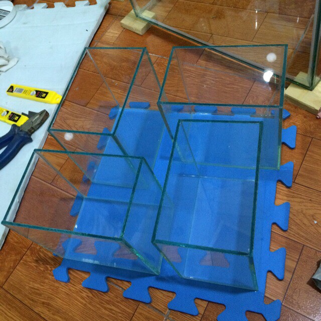 Bể cá để bàn cỡ nhỏ 15*10*15cm - bể cá bảy màu, betta