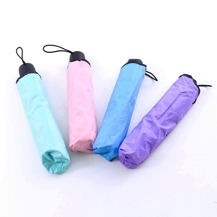 Dù Đi Mưa Nở Hoa Khi Gặp Nước Cao Cấp