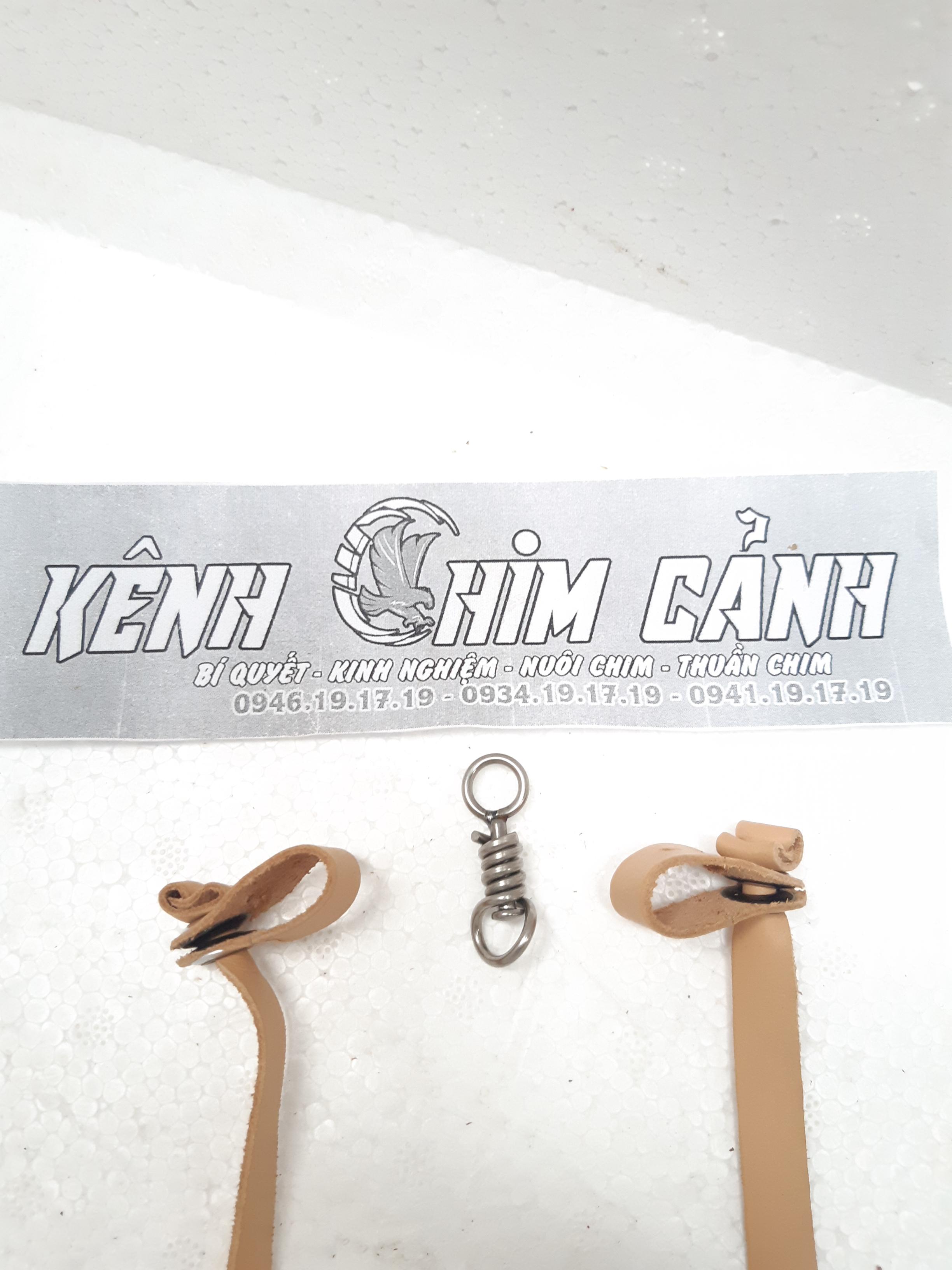 dây chân chim ưng ấn s2