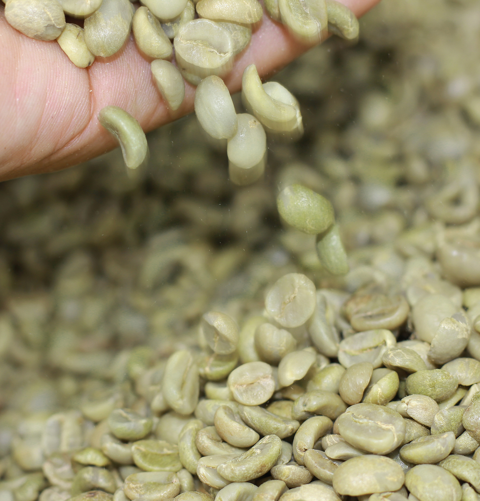 1kg cà phê bột pha máy Espresso ( 80% Robusta + 20% Arabica ) rang medium thương hiệu cà phê rang mộc DUC ANH COFFEE