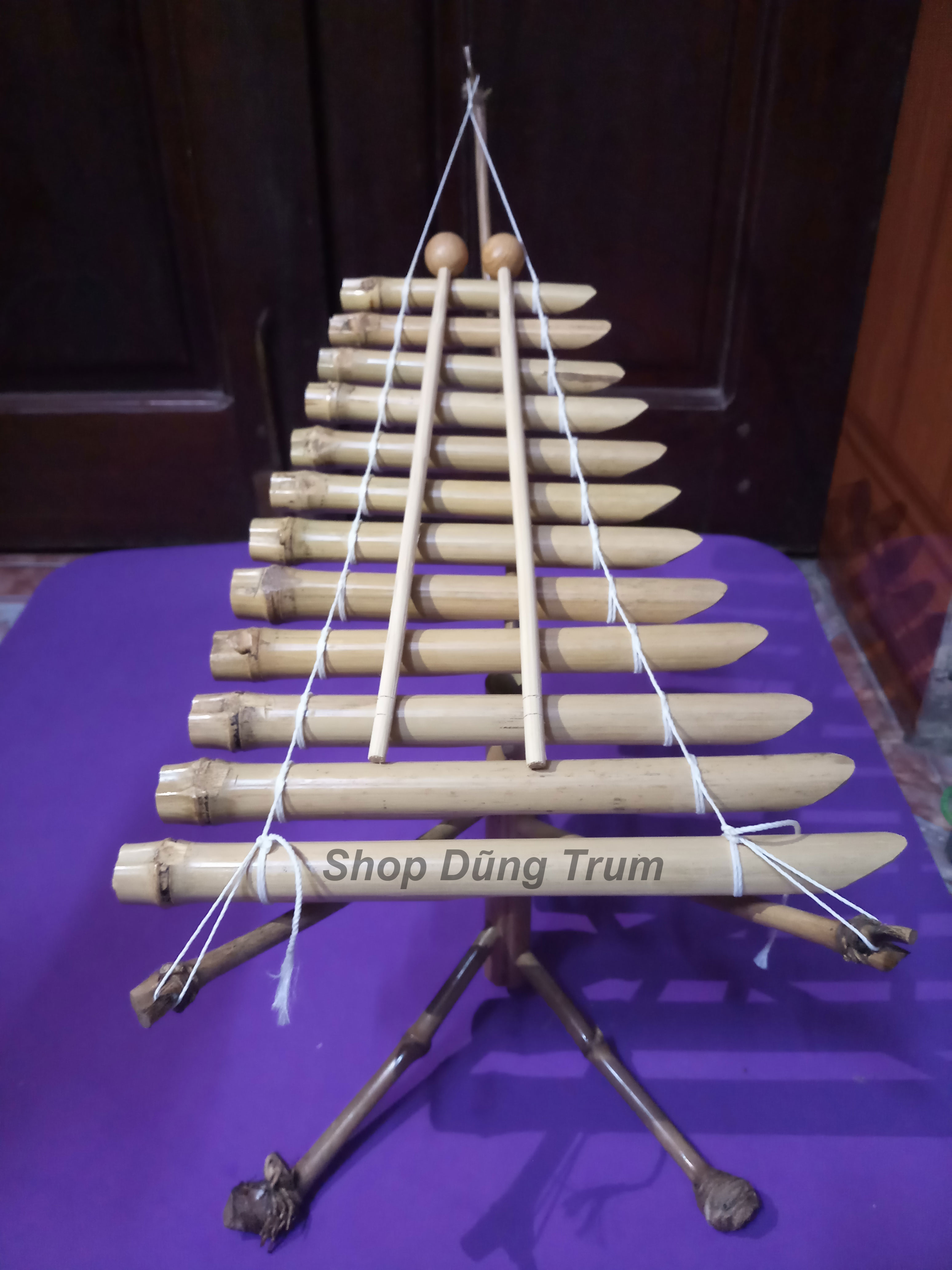 Đàn T’rưng mini biểu diễn, đàn Tơ rưng cho bé siêu đẹp