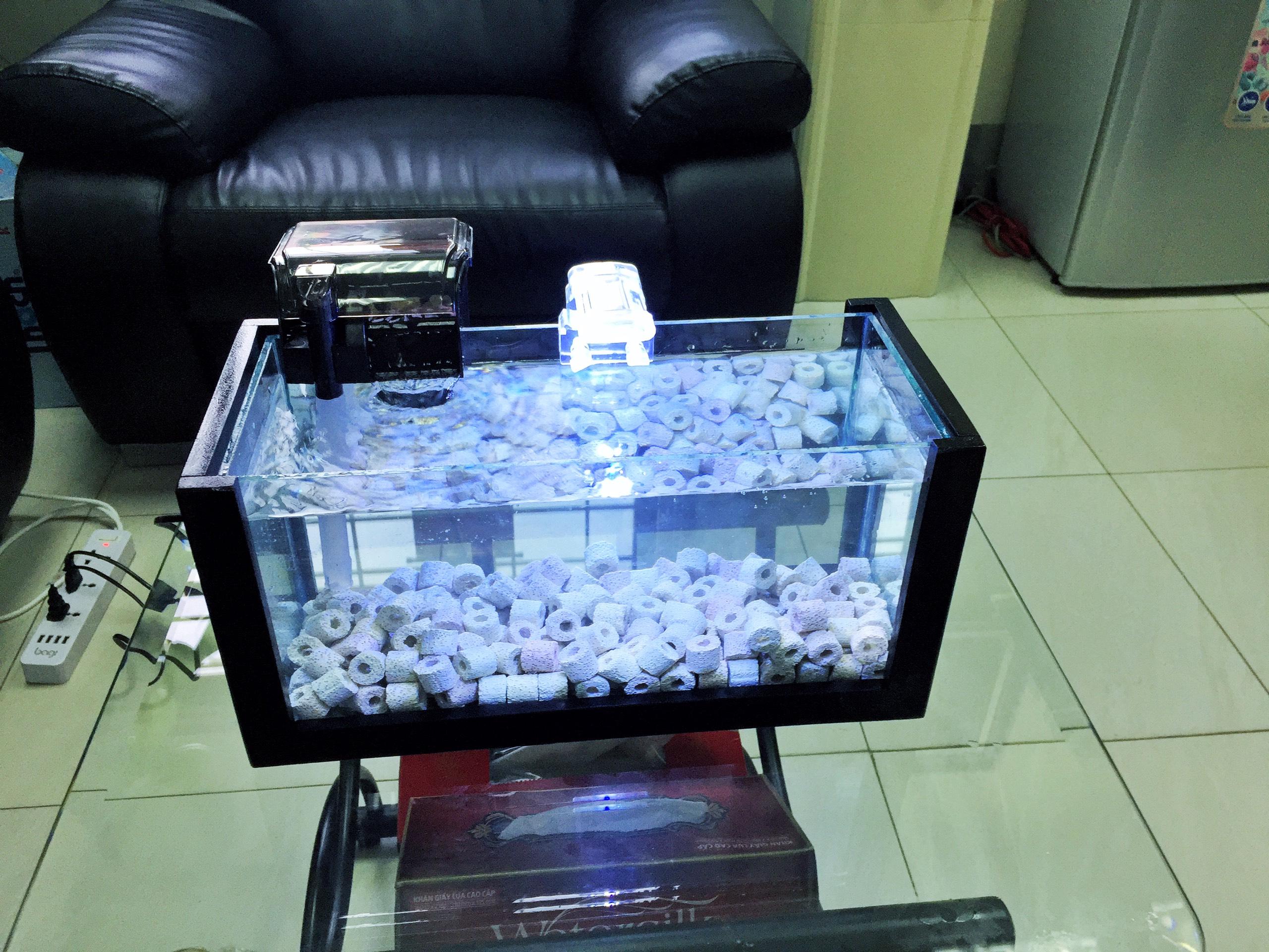 Combo bể cá khung gỗ cỡ lớn - đèn led , lọc cỡ trung (tặng phụ kiện trang trí hồ cá cảnh)