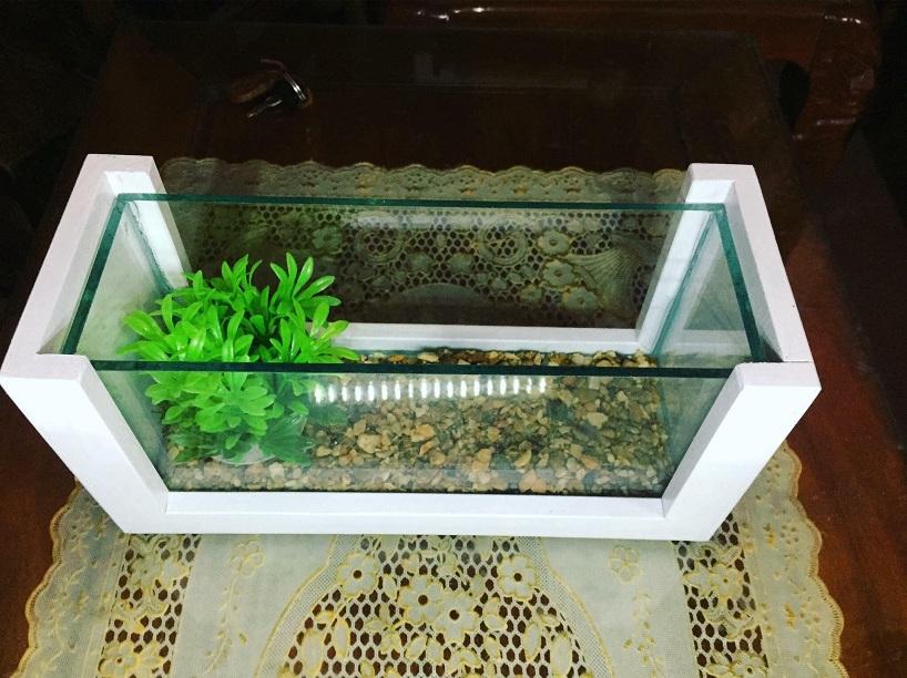 Cây nhựa trang trí hồ cá