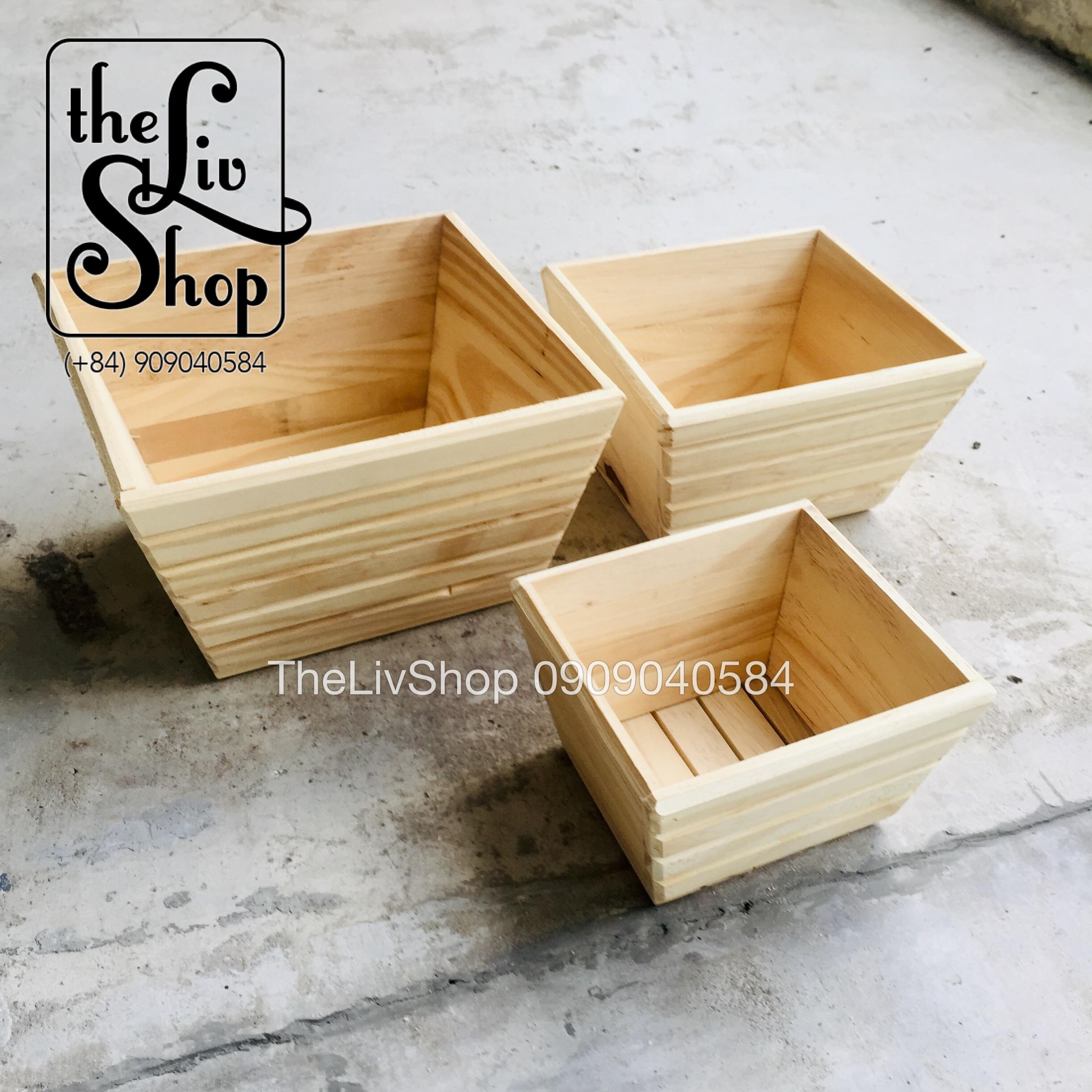 Chậu Cây Bằng Gỗ Thông 3 Sizes