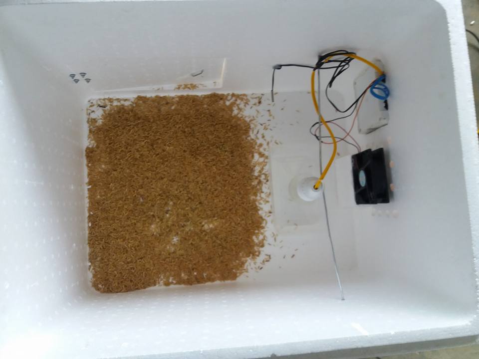 Máy Ấp Trứng -Bộ Điều Khiển