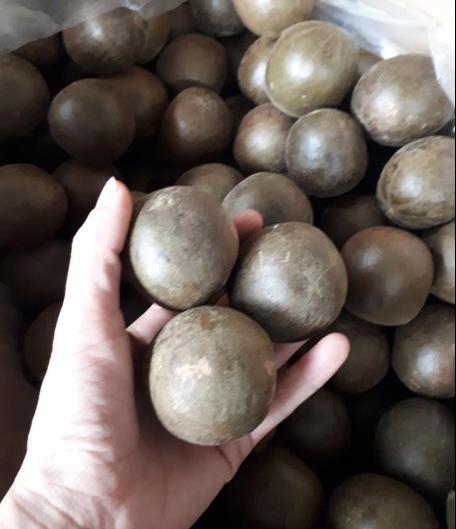 Lá Cây Ca gai leo 2kg