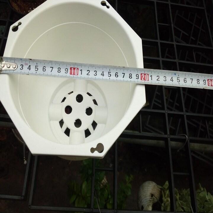 10 chậu nhựa trắng  20cm