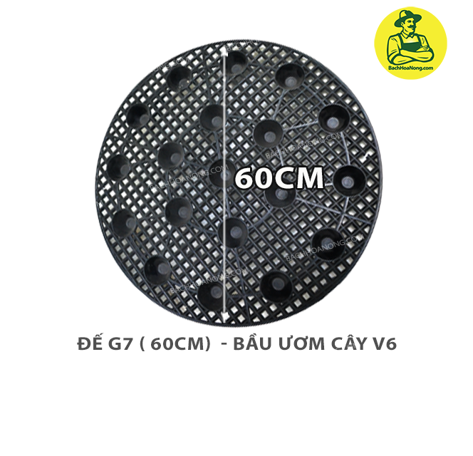 [HCM]Đế bầu G7 dùng cho Bầu ươm V6 -  60cm