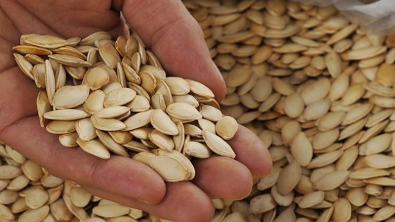 500g Hạt bí rang bếp củi to giòn hạt mẩy