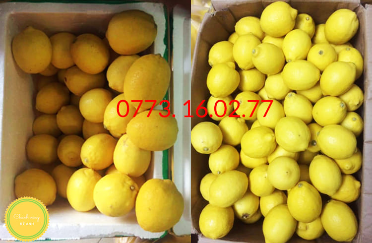 Chanh vàng Mỹ tươi sạch 1 kg