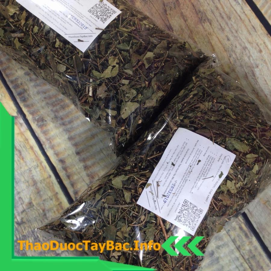 1Kg Cây Cỏ Ngọt Sapa