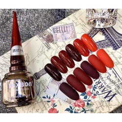 Set sơn gel Mixbon 6 chai