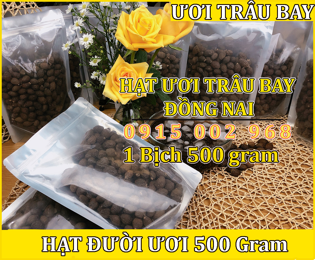 HẠT ĐƯỜI ƯƠI BAY 1.5 Kg - HẠT ƯƠI TRÂU BAY
