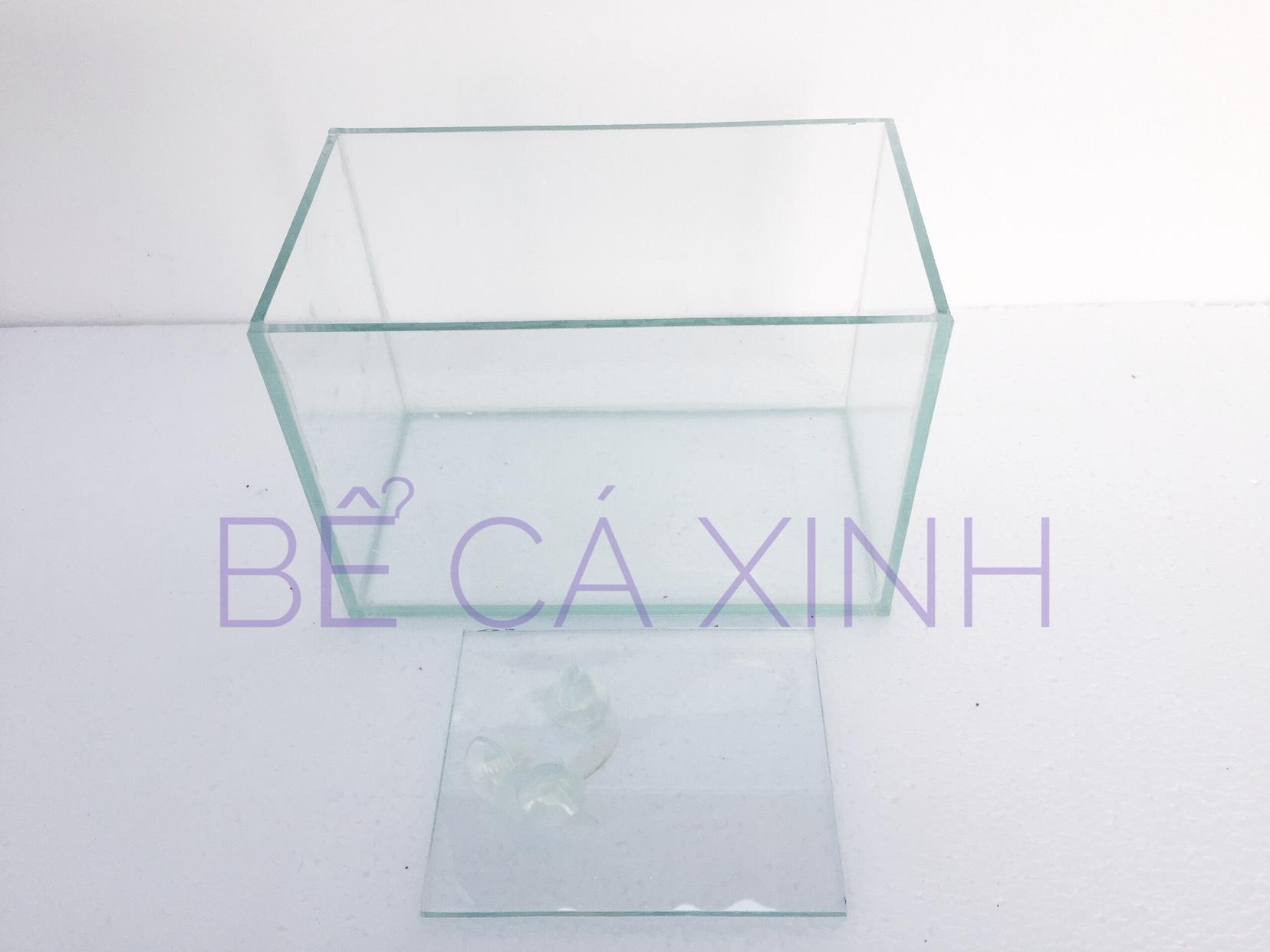 Bể cá cảnh mini giá rẻ ( tặng kèm sỏi nền)