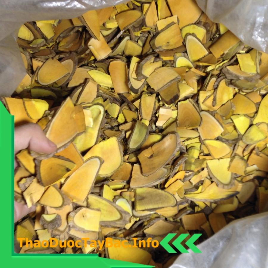 1Kg Cây Mật Gấu Ngâm Rượu