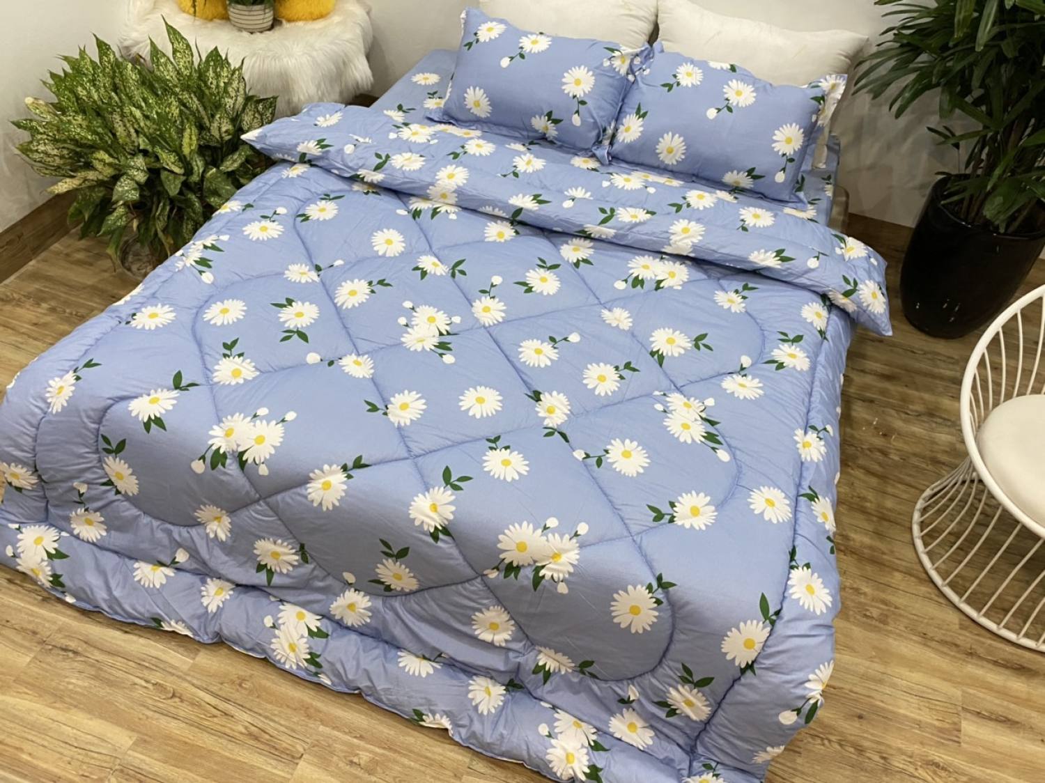Chăn phao siêu nhẹ cực ấm 1m8x2m mẫu cúc nhí xanh