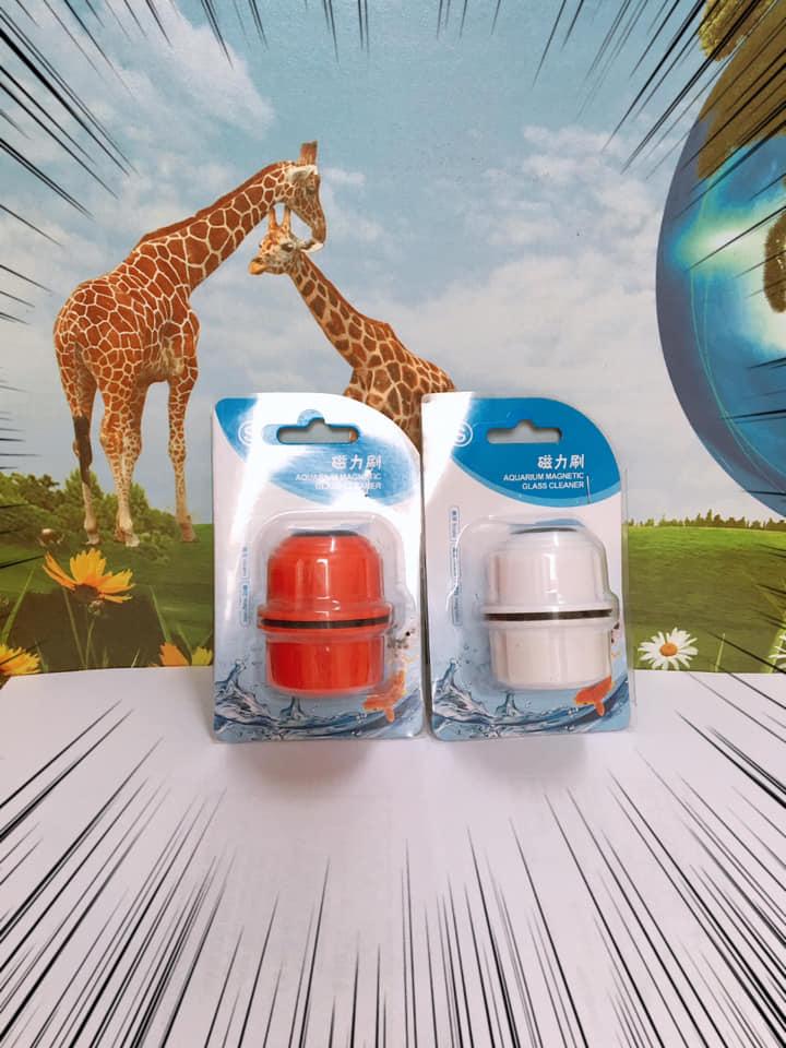 Nam châm cọ bể mini