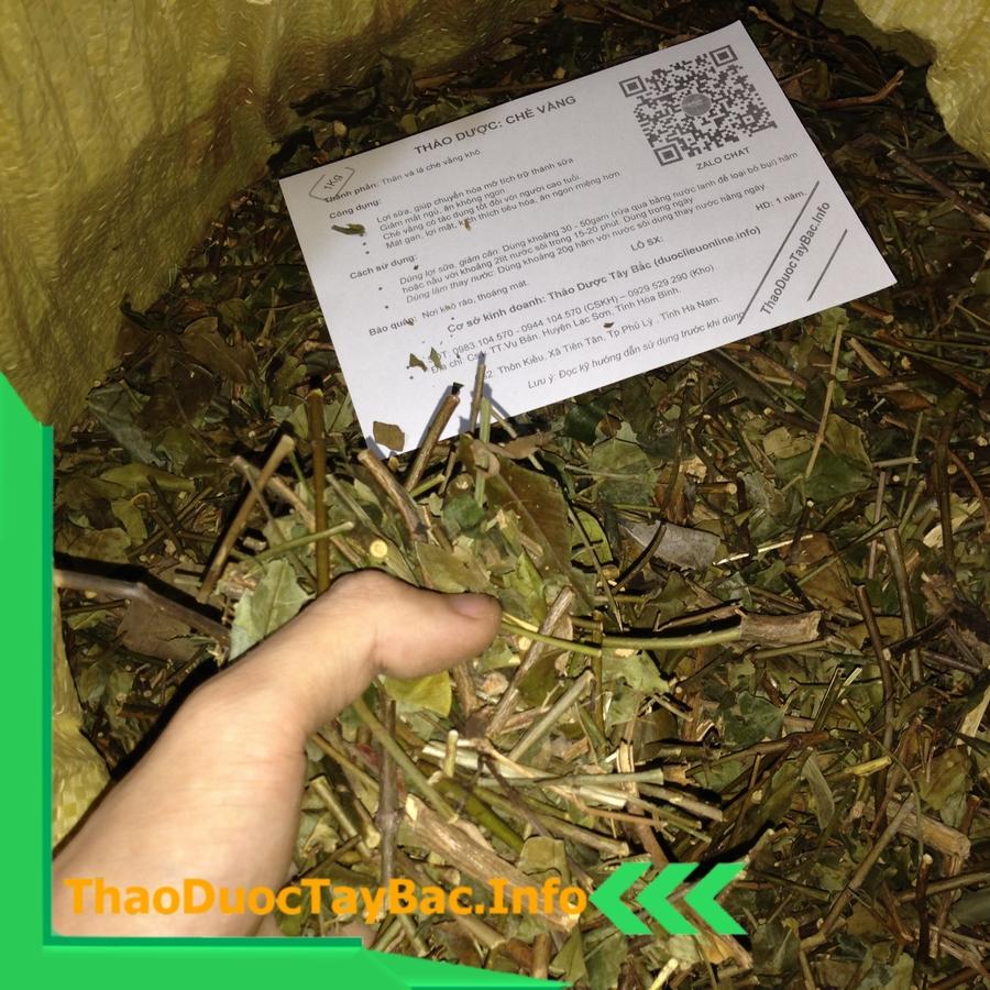 1Kg Cây Cỏ Ngọt Sapa