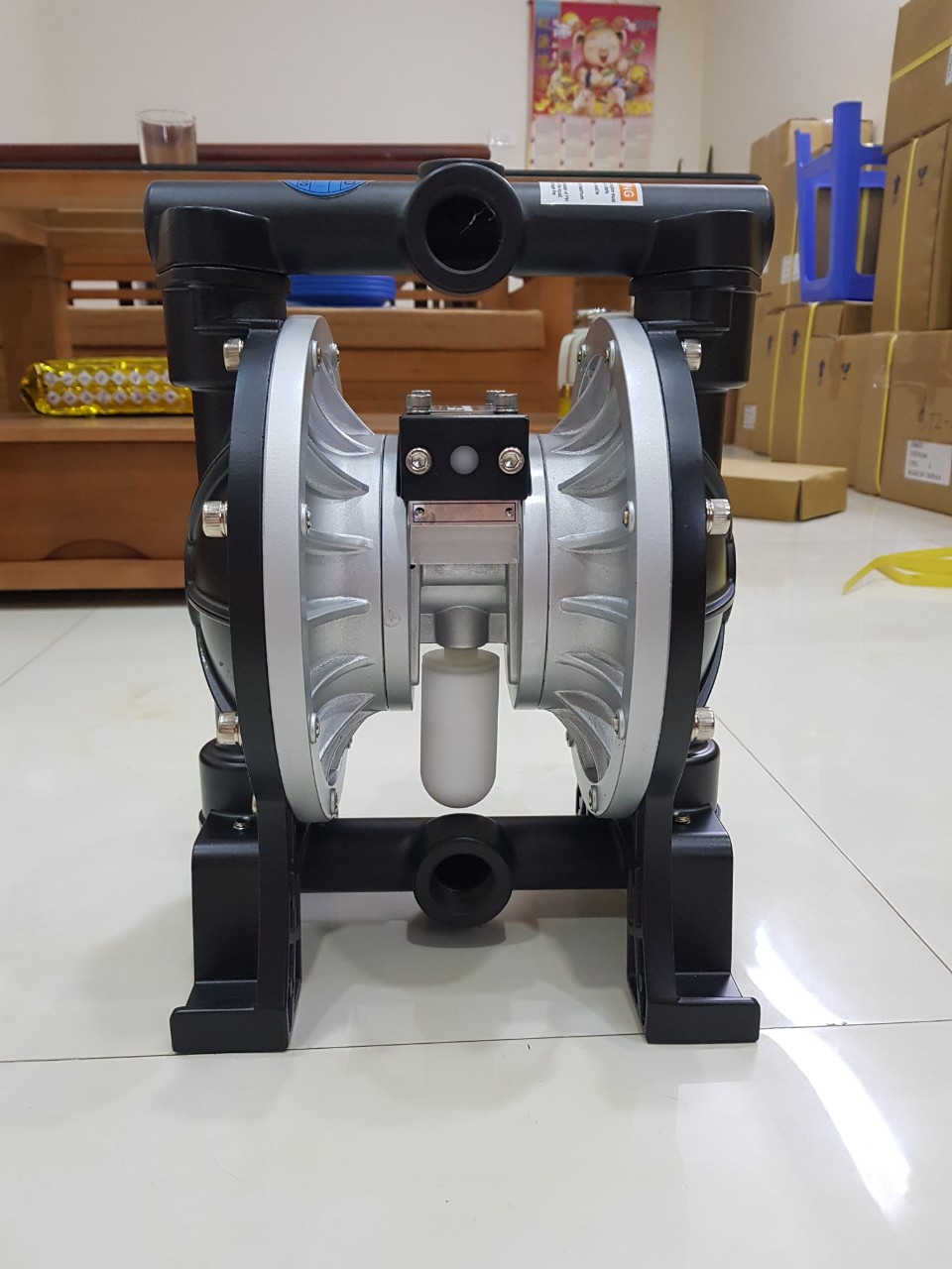 Bơm màng TDS TDS DS03-AAT-TASS-02
