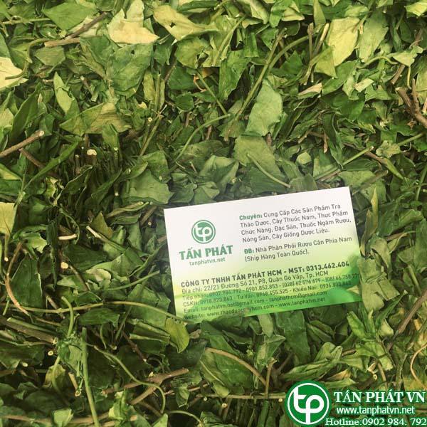 Dây thìa canh 1kg khô cao cấp - Hàng công ty chất lượng cao hỗ trợ cải thiện sức khoẻ - Hàng loại 1 tốt cho người bệnh tiểu đường