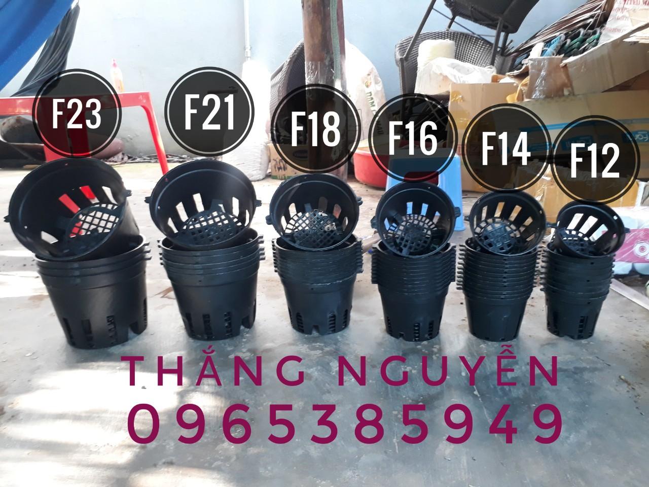 50 chậu trồng lan F12