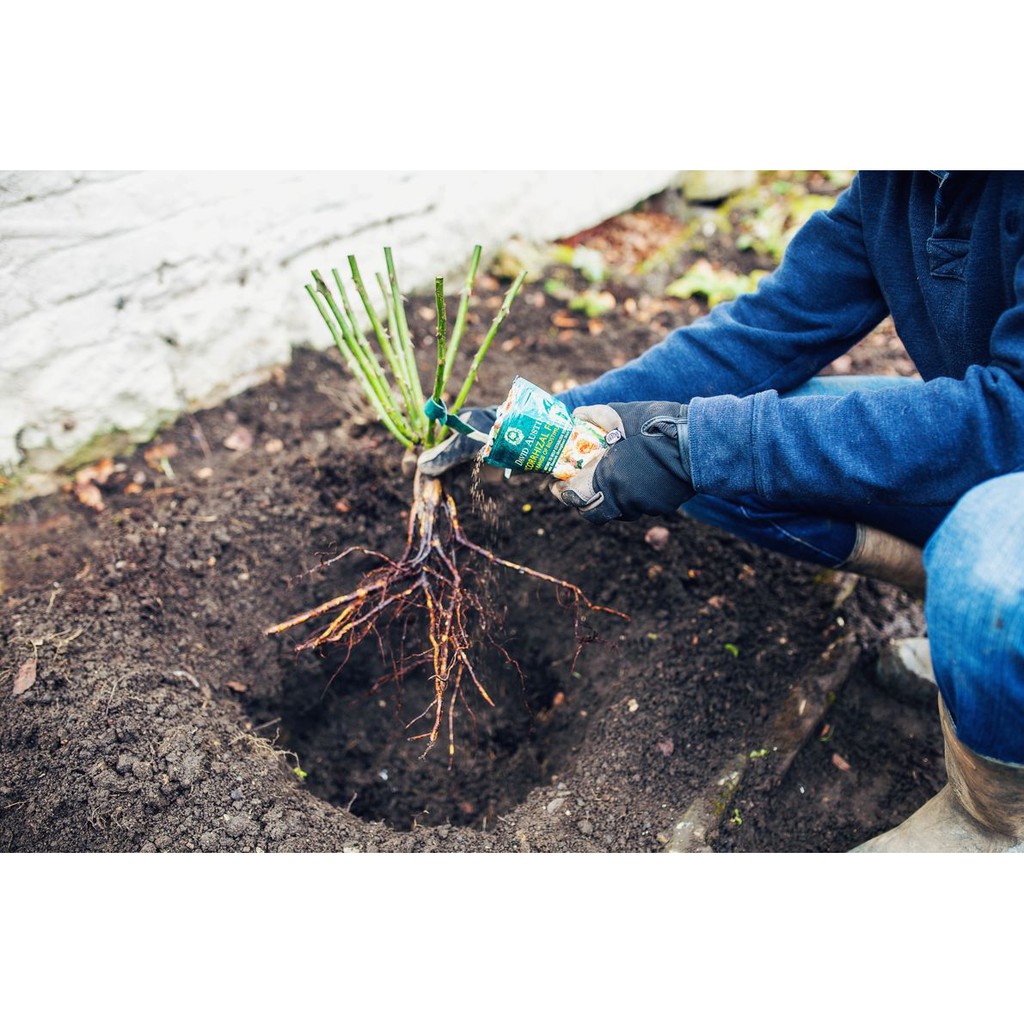 SIÊU KÍCH RỄ- NẤM RỄ CỘNG SINH MYCORRHIZAE