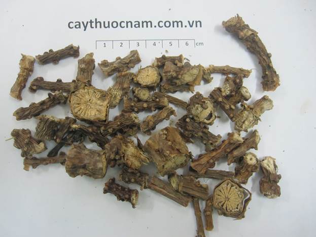 Dây thần thông 1 ký phơi khô