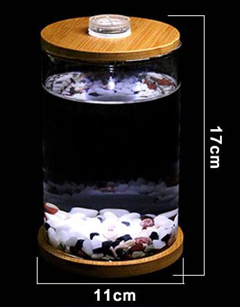 Bể cá chọi Betta-01