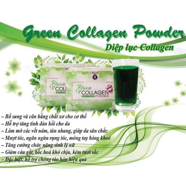 Diệp lục Collagen – Bổ xung dưỡng chất, thải độc, đẹp da.