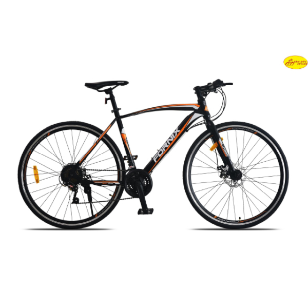 Xe đạp Touring Fornix FR303