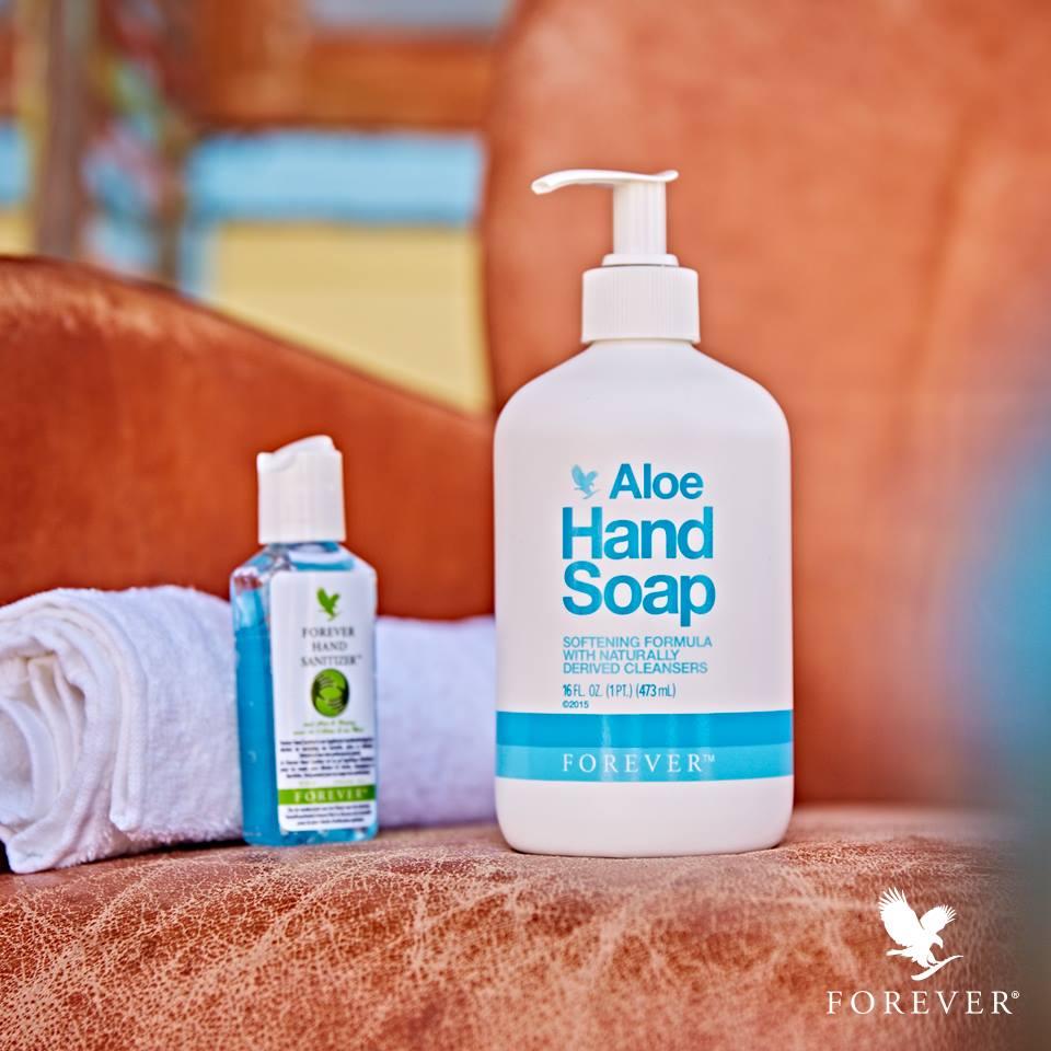Bình Sữa Rửa Mặt Và Tay Aloe Liquid Soap 633 Flp