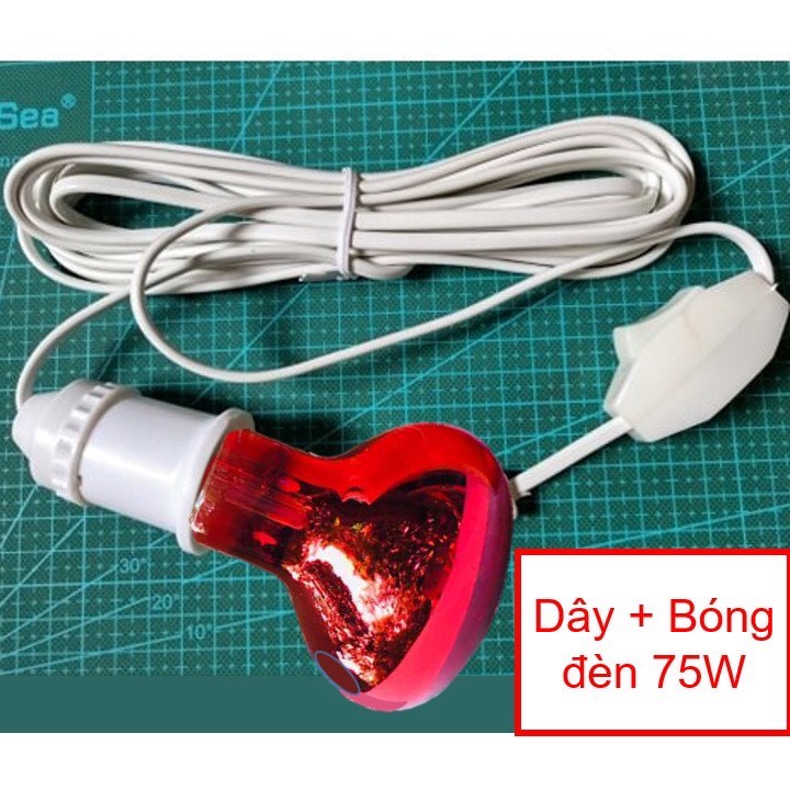 Bóng Đèn Hồng Ngoại Úm Gà 45W, 75W Kèm Đui Đèn Liền Dây Và Phích Cắm Vinamax 5 Mét