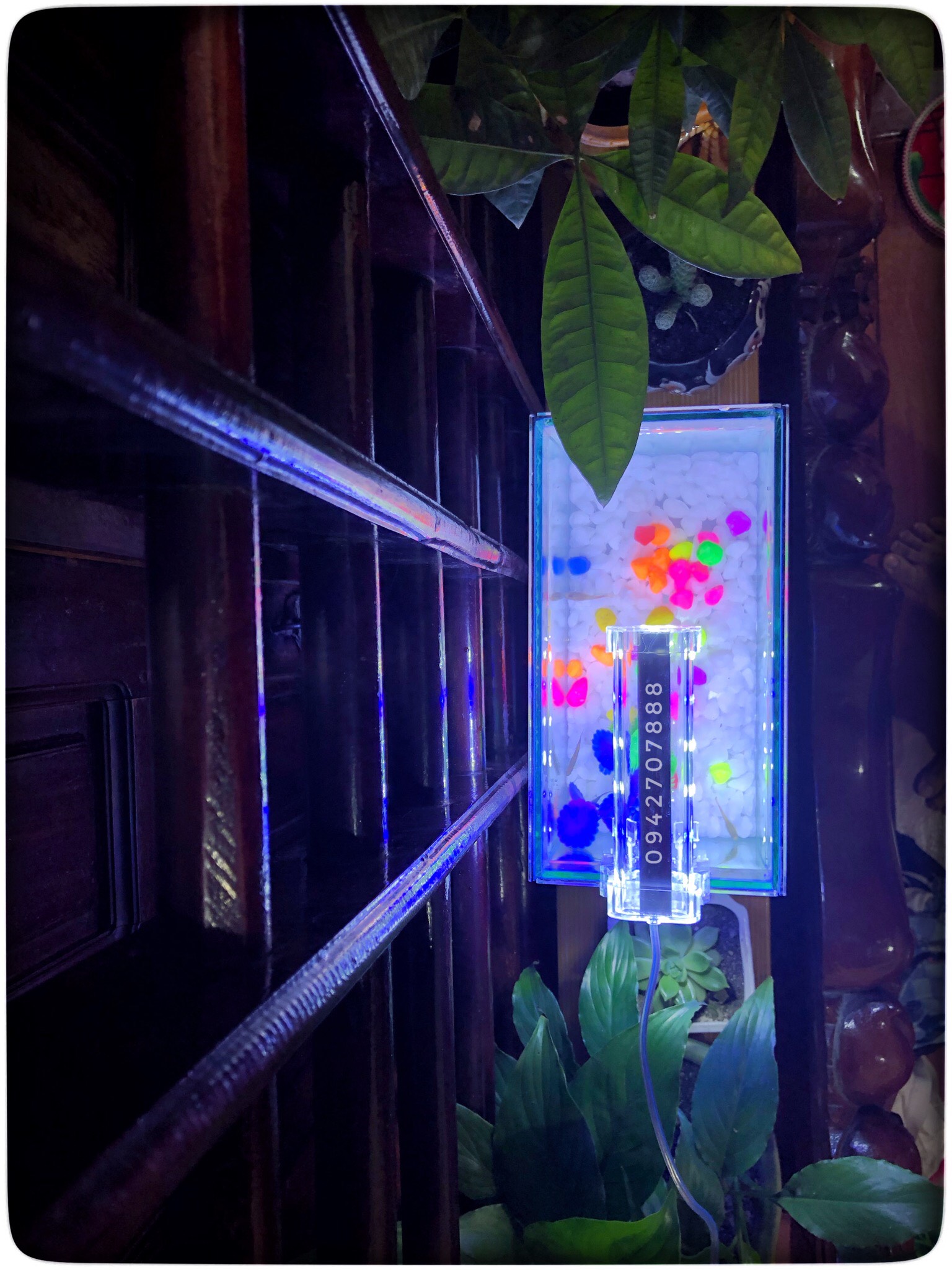 Set bể cá mini viền gương 25x13x15cm + đèn led 4w ( tặng đồ trang trí và đồ ăn cá)