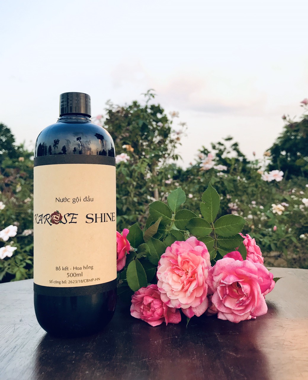 Nước gội đầu Karose Shine