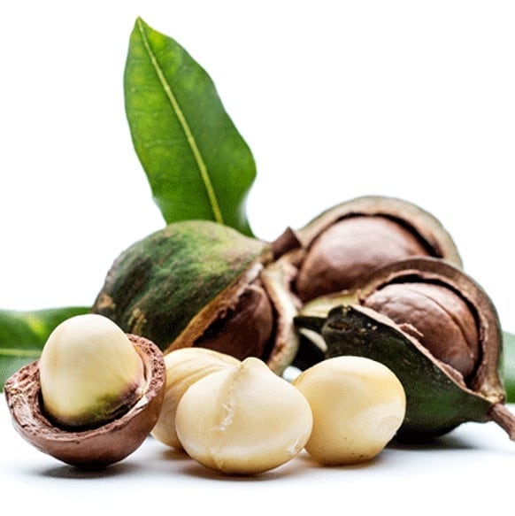Tinh dầu Macadamia  - Healing Oil Treatment