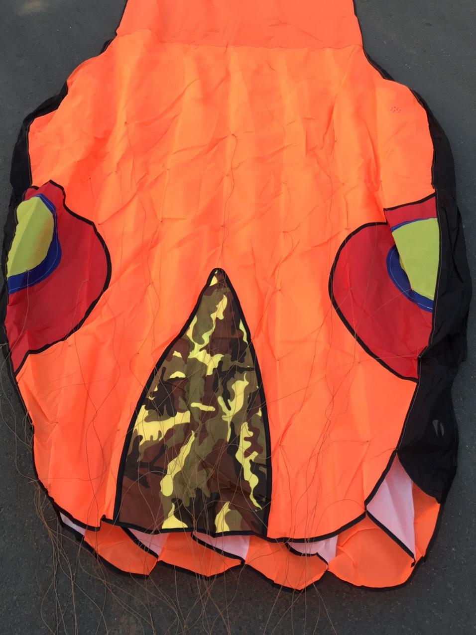 Kites - Diều hình con rắn dài 40m