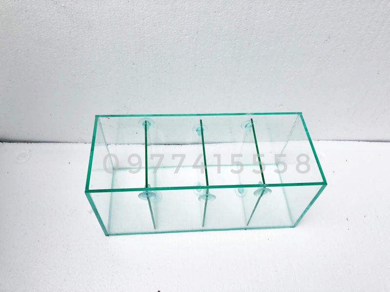 Bể cá betta 4 ngăn trang trí nhà cửa kích thước 40*16*18cm ( vách ngăn tháo lắp dễ dàng)