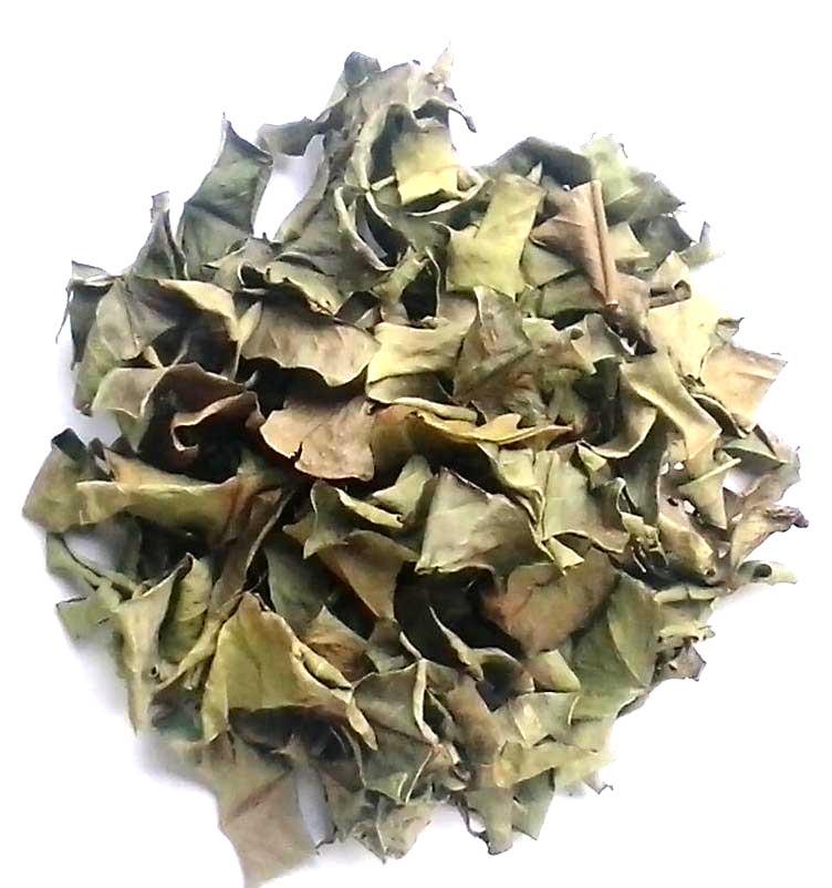 Lá vối khô hảo hạng 1kg