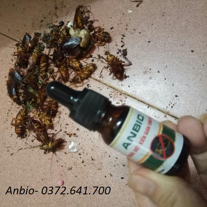 THUỐC DIỆT KIẾN, DIỆT GIÁN