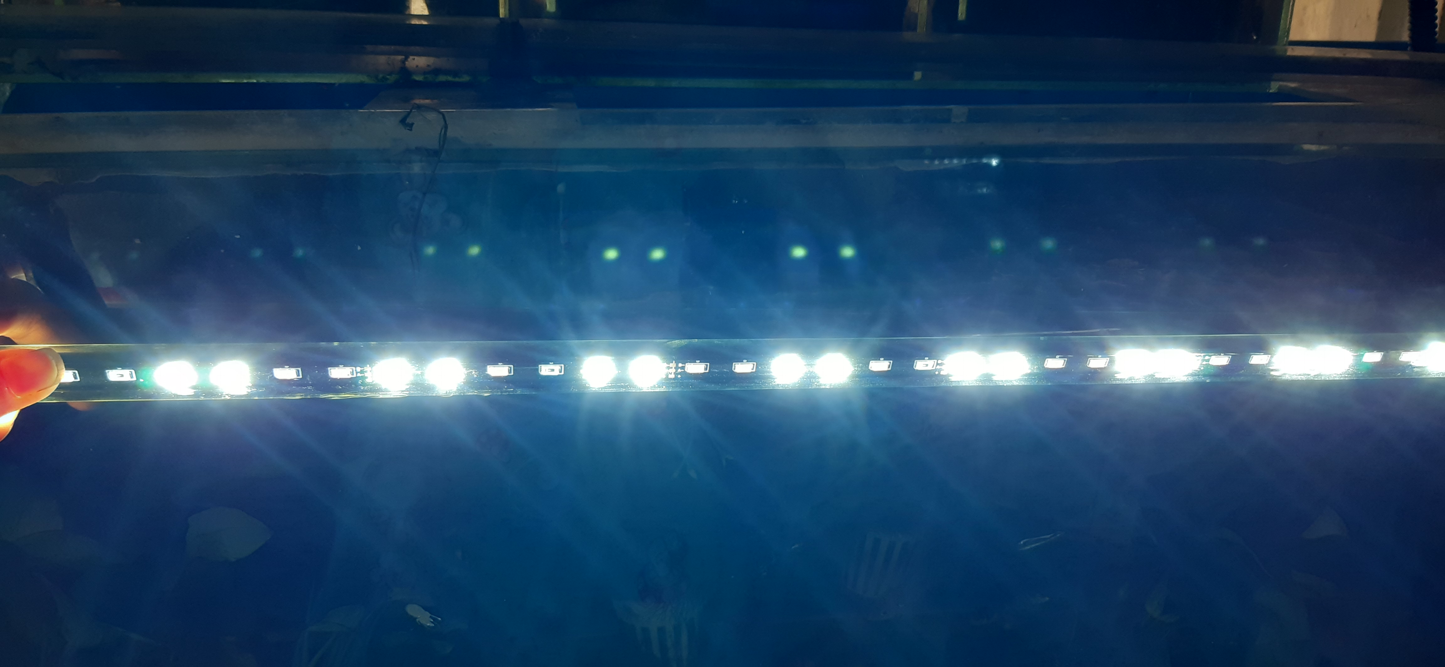 Đèn Led chìm cho Bể cá CaiBao T4- 60 3 chế độ màu