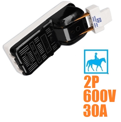 [HCM]Cầu Dao Điện Cao Cấp 2 Pha 2P 30A 600V